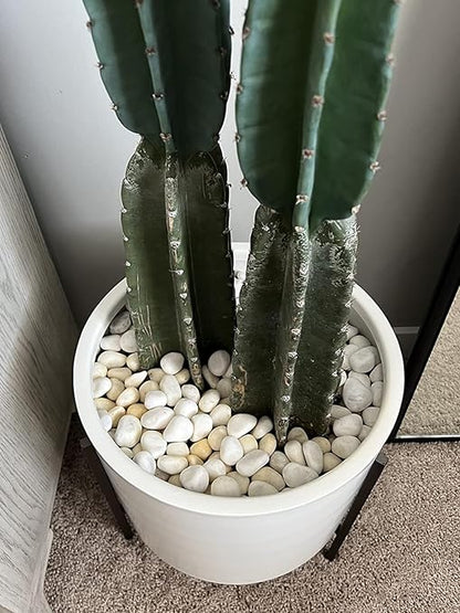 11Lbs Natural River Rocks for Plants 1''-2'' Large Landscaping Garden Stones White Aquarium Gravel for Decorative Pebbles for Indoor Outdoor Planters, Big Terrarium Rocks in Bulk, Home Decor