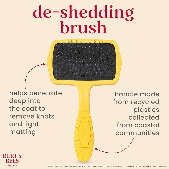 Burt_ Bees for Pets Large Slicker Brush for Dogs with Thick or Curly Hair with Handle Made from Recycled Plastics Collected from Coastal Communities | De-Shedding Dog Brush Removes Knots and Matting