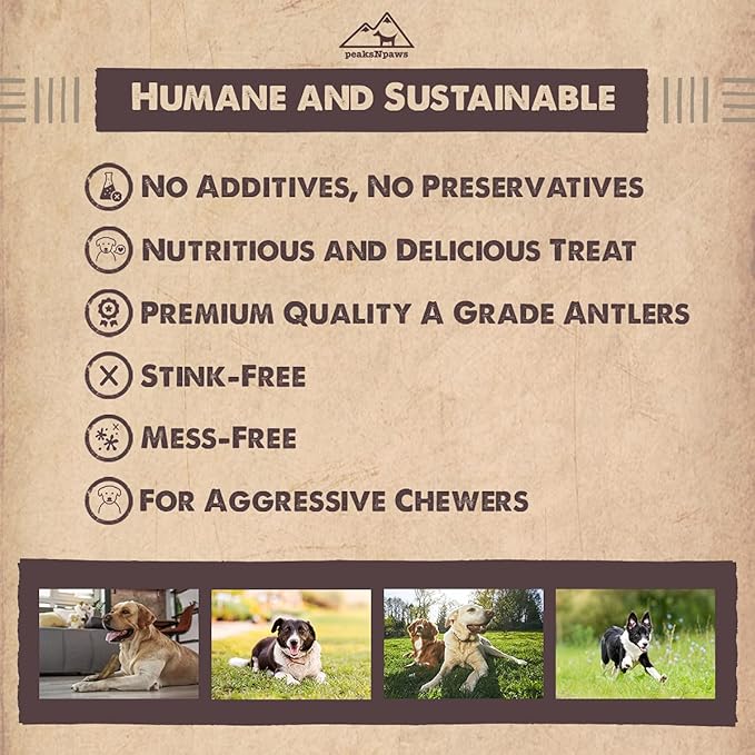 Premium Split Elk Antlers for Dogs, Dog Treats Large Breed, Made in USA, Natural Dog Chews for Aggressive Chewers, Long Lasting Pet Treat for Dogs Under 80 lbs, 2 Large/XL Antler Pack