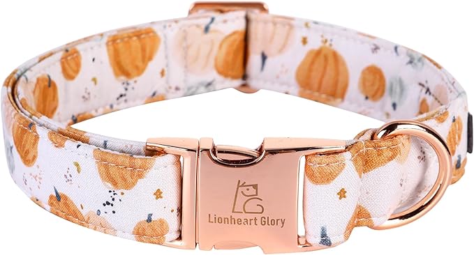Lionheart glory Dog Collar Halloween Collar Dog Fall Dog Collars, Adjustable Heavy Duty Dog Collar for Large Dogs Pumpkin Collar Dog