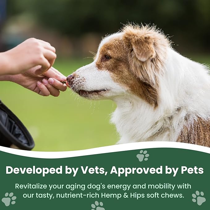 Veterinary Naturals Hemp & HIPS Joint Supplement for Dogs/Supports Relief from Hip and Joint Pain in Large, Aging Dogs (Regular, Beef & Bacon)