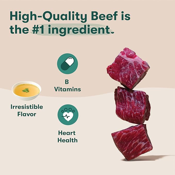 Jinx Premium Wet Dog Food Cans - Beef Pate - Grain-Free Canned Dog Food Pate & Topper with Real Ingredients & No Fillers - All Life Stages, Breeds & Sizes - 12-Pack, 13 Oz