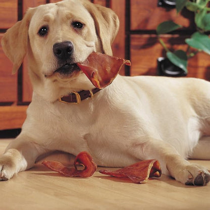 EcoKind Healthy Pig Ears for Dogs | 10 Ears | High Protein Pig Ear, Rawhide Free Dog Chews, Natural Dog Treats, Thick Cut, Long Lasting, No Preservatives, Hormones & Additives