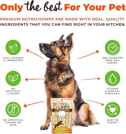 NutriChomps Dog Chews, 6-inch Braids, Easy to Digest, Long Lasting, Rawhide-Free Dog Treats, Healthy, 4 Count, Real Milk flavor