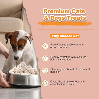 Freeze Dried Chicken Dog Treats - Raw Chicken Breast Cube High Protein Snacks for Training Healthy Limited Single Ingredient Grain Free Chicken Dices Easy Digest Pet Food (4 OZ)