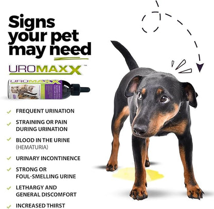 Cat & Dog Urinary Tract Treatment, Bladder & Kidney Support for Dogs and Cats, Powerful Yet Gentle Pet Care, with Liquid Cranberry & Glucosamine, Salmon Flavor, 6 oz Bottle, 2 Pack