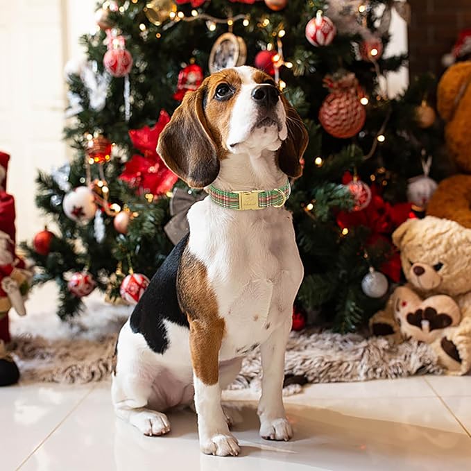 Christmas Dog Collars for Small Dog,Green Dog Collar with Safety Metal Buckle Adjustable Puppy Collars for Medium Large Dog,Boy&Girl&Female Dog Gift,XS-8"-13"