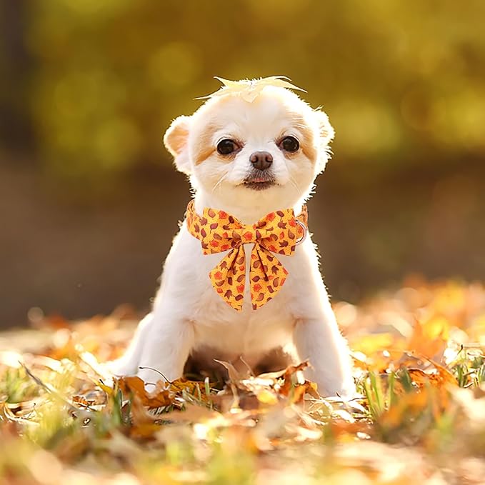 ARING PET Fall Dog Collar-Cotton Maple Leaves Dog Collar with Bowtie, Adjustable Autumn Leaves Dog Collars Pet Necklace with Metal Buckle for Girl&Boy Dogs
