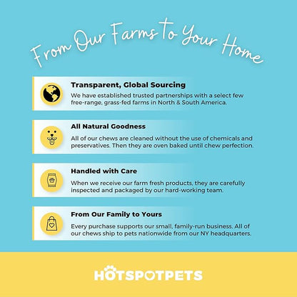 hotspot pets Tripe Twists for Dogs - Premium All Natural Beef Sticks - Single Ingredient Crunchy Dog Chew Treats - Rawhide Free -6 Inch Dog Treats