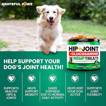 (2 Pack) Hemp Hip and Joint Supplement for Dogs - Glucosamine for Dogs - 340 Joint Pain Relief Treats - Chondroitin, MSM, Hemp Oil - Advanced Health Supplement - Mobility Support Chews - Made in USA