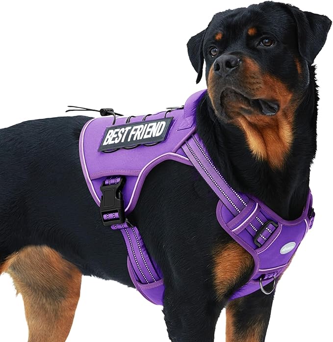 AUROTH Tactical Dog Harness for Large Dogs No Pull Adjustable Pet Harness Reflective K9 Working Training Easy Control Pet Vest Military Service Dog Harnesses Purple XL