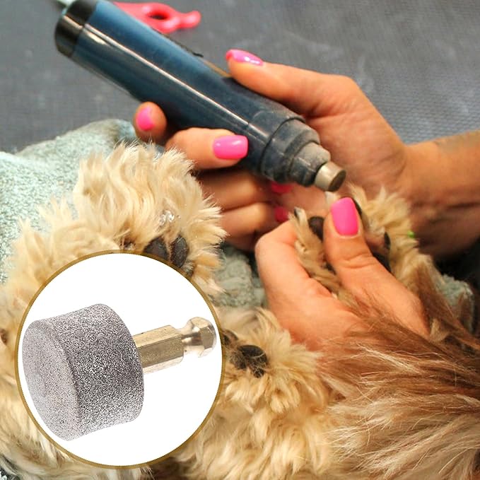 10PCS Dog Nail Replacement Heads Compatible with Casfuy, Dog Nail Wheel Pet Nail Tip, Electric Paw Grinding Head