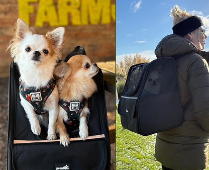 Pecute Cat Backpack Carrier, Small Dog Backpack Carrier, Pet Backpack Carrier for Cats Dogs Puppy Kitten, Cat Carrier Bag Carrying for Travel Hiking Bike Riding Walking Outdoor,Black