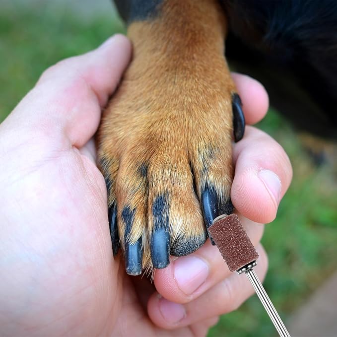 34pcs Dog Nail Grinder Pet Nail Grinder for Dogs Replacement Kit Sanding Drum Set with Grit Sanding Bands Pet Nail Smoother Dog Claw Care Rotary Tool Kit Dog Claw Trimmer Tools (120 Grit +80 Grit)