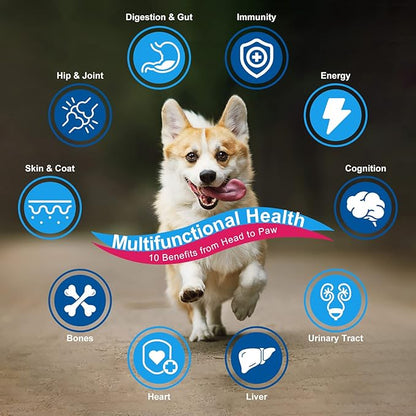 NATURE TARGET Dog Vitamins Powder, Probiotics & Digestive Enzymes for Gut Health, Glucosamine & Chondroitin & Omega 3, Complete Supplement for Homemade Dog Food, Joint & Skin & Immune Support