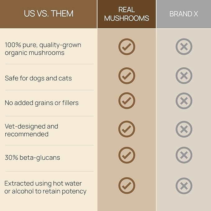 Real Mushrooms Lion_ Mane Pet Mushroom Supplement  Pet Wellbeing Capsules  for Cat & Dog Supplement & Vitamins  Support Mindful Routines  Organic, Vegan, Non-GMO, 120 Count