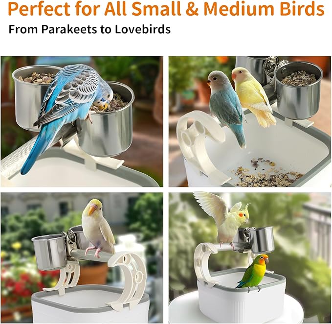 Bird Desktop Training Stand with Detachable Stainless Steel Double Bowls Feeder, Easy Clean Portable Bird Perches Stand with Detachable Base for Parakeets, Small-Sized Birds, Parakeet Cage Accessories