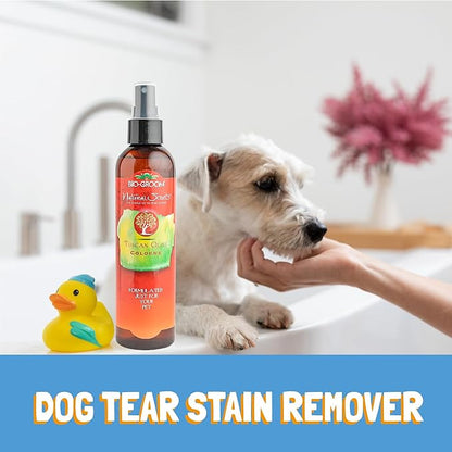 Bio-Groom Tuscan Olive Dog Shampoo - Natural Scent Pet Shampoo, Baobab Protein, Cat & Dog Bathing Supplies, Puppy Wash, Cruelty-Free, Made in USA, Quick Rinse Cat Shampoo - 8 fl oz 1-Pack