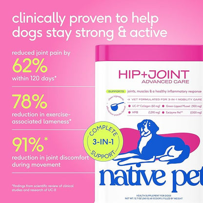 Native Pet Advanced Care - Hip & Joint Supplement for Dogs - Supports Joints, Cartilage, Muscles & Anti-Inflammatory with HMB, UC-II Collagen, Green Lipped Mussel & Hyaluronic Acid - 60 Scoops