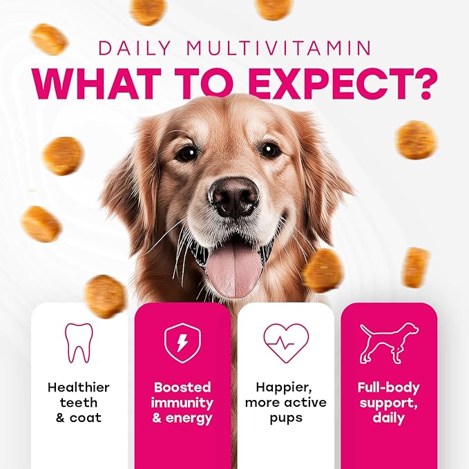 24-in-1 Complete Daily Dog Multivitamin Chews  Beef Flavor  All-in-One Support for Joints, Skin, Coat, Digestion & Immunity with Glucosamine & Omega-3 (140 Chews)
