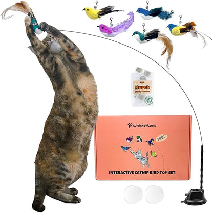 Interactive Bird Simulation Cat Toy Set, Interactive Cat Toys for Indoor Cats, Cat Feather Toy, Self-Holding Suction Cup, 5 Catnip Birds, Feathers, Bells (Catnip Bird Toy Set with 5 Birds)