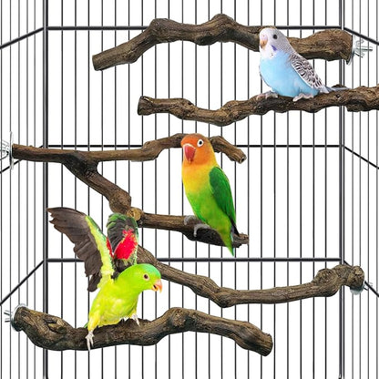 kathson 5pcs Natural Parrot Perch for Cage Wooden Bird Perches Grape Bird Stick Parakeet Climbing Standing Branches Toy Chewable Cage Accessories for Small Budgies Cockatiels Lovebirds Budgies