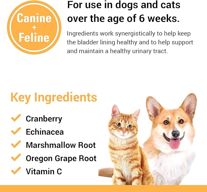 Vet Classics Cranberry Comfort Urinary Tract Pet Supplement for Dogs, Cats – Maintains Dog Bladder Health, Cat Bladder Control – Pet Supplements for Incontinence – 65 Soft Chews