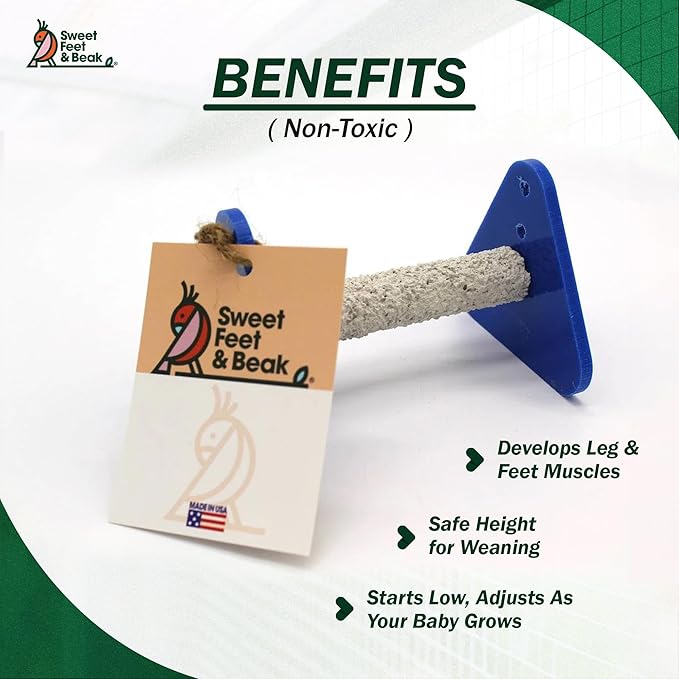 Portable Bird Perch Stand for Small Birds to Keep Nails and Beaks in Top Condition - Safe, Non-Toxic, Easy to Install Cage Accessories