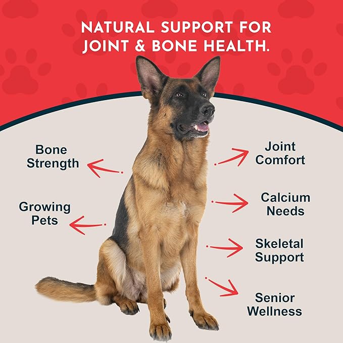 Animal Essentials Sea-Cal - Pure Seaweed Calcium Powder for Dogs with Magnesium, Joint Supplement for Dogs & Cats for Healthy Bones & Teeth, Joint Health, Icelandic Seaweed Calcium - 12 oz (Pack of 2)
