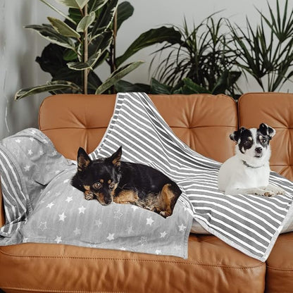 ARGOPET Dog Cooling Blanket 28 * 21inch Lightweight Self Cooling Blanket Bed Cover for Dog Cat Summer Blanket &Ice Silk Cooling Pet Blanket Throw Blanket for Kennel Sofa