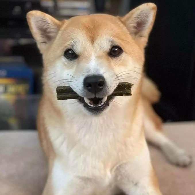 Pupford Dental Chews for Dogs | Freshens Breath, Scrapes Plaque, Safe for Gut | Healthy, Limited Ingredient, All Natural |Yummy & Made in USA | Free Training Resources | 14 Count