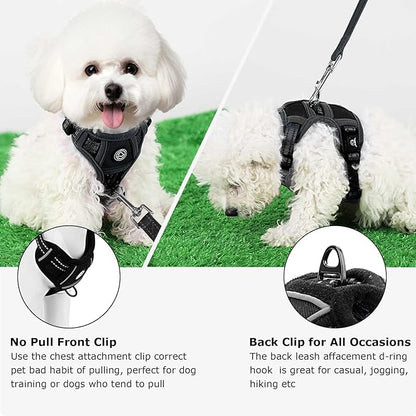 Dog Harness Small Sized Dog, No Pull Pet Harness with 2 Leash Clips, Adjustable Soft Padded Dog Vest Harnesses, Reflective No-Choke Pet Oxford Vest