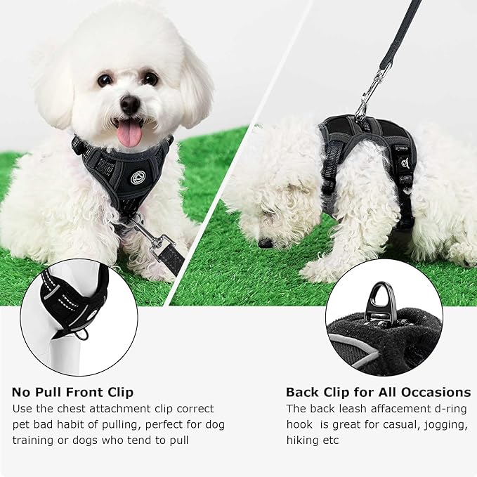 Dog Harness Small Sized Dog, No Pull Pet Harness with 2 Leash Clips, Adjustable Soft Padded Dog Vest Harnesses, Reflective No-Choke Pet Oxford Vest