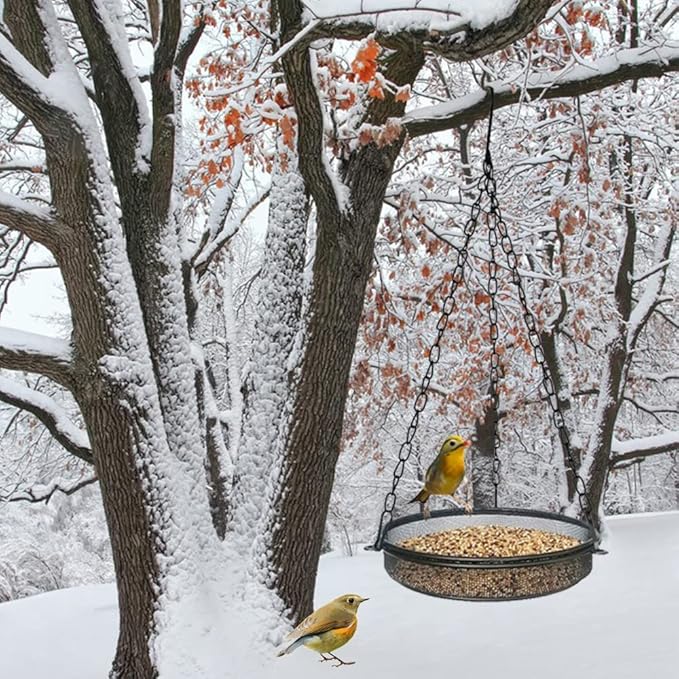 2-in-1 Set Hanging Bird Feeder and Bath for Outdoor, Small Metal Tray Perfect for Attracting Bird