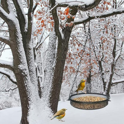 2-in-1 Set Hanging Bird Feeder and Bath for Outdoor, Small Metal Tray Perfect for Attracting Bird