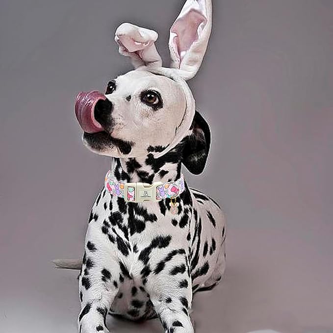 Lionheart glory Easter Dog Collar Colorful Collar for Large Dog Collars Easter Egg Print Dog Collars Spring Female or Male Pet Gift Adjustable Heavy-Duty Holiday Dog Collar Plastic Buckle