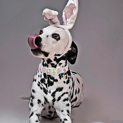 Lionheart glory Easter Dog Collar Colorful Collar for Large Dog Collars Easter Egg Print Dog Collars Spring Female or Male Pet Gift Adjustable Heavy-Duty Holiday Dog Collar Plastic Buckle