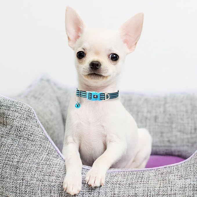 Reflective Dog Collar with Bell - Hypoallergenic Adjustable Nylon Puppy Collar for Night Safety, Soft Comfort Fit Small Dogs & Cats, Blue X-Small