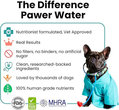 Advanced Joint & Hydration Supplement for Dogs – Vet-Approved - Soluble Powder with Collagen, Electrolytes, 7 Active Nutrients & Vitamins – Chicken Broth Flavor (Up to 8 Weeks Supply)