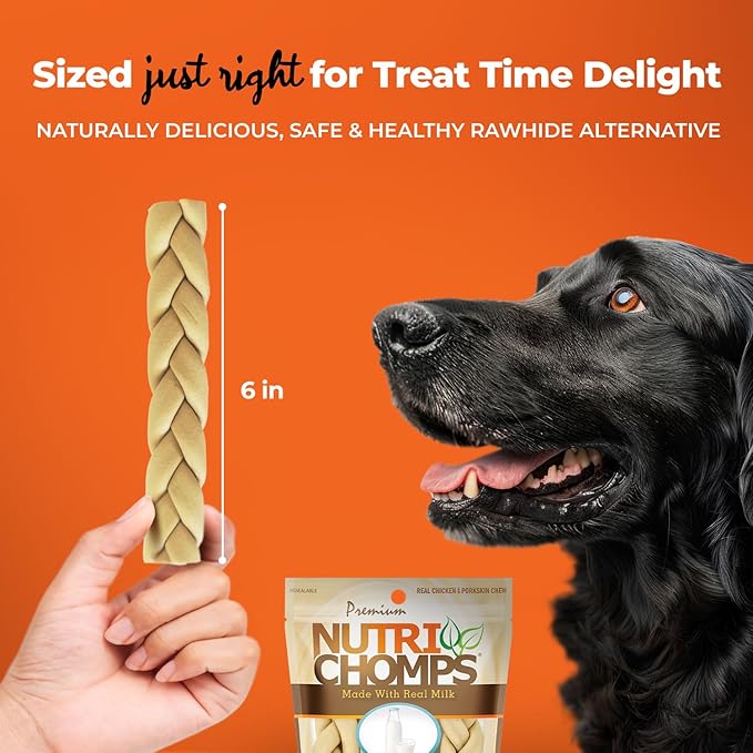 NutriChomps Dog Chews, 6-inch Braids, Easy to Digest, Long Lasting, Rawhide-Free Dog Treats, Healthy, 4 Count, Real Milk flavor