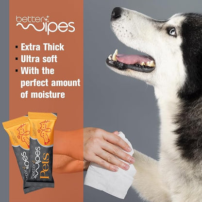 Pets - Extra Thick Pet Wipes for Dogs & Cats | Ultra Soft Dog Wipes for Paws, Face, Ears & Body | Hypoallergenic, Alcohol-Free Cat Wipes | Travel-Friendly Pet Cleaning Wipes | 25 Count