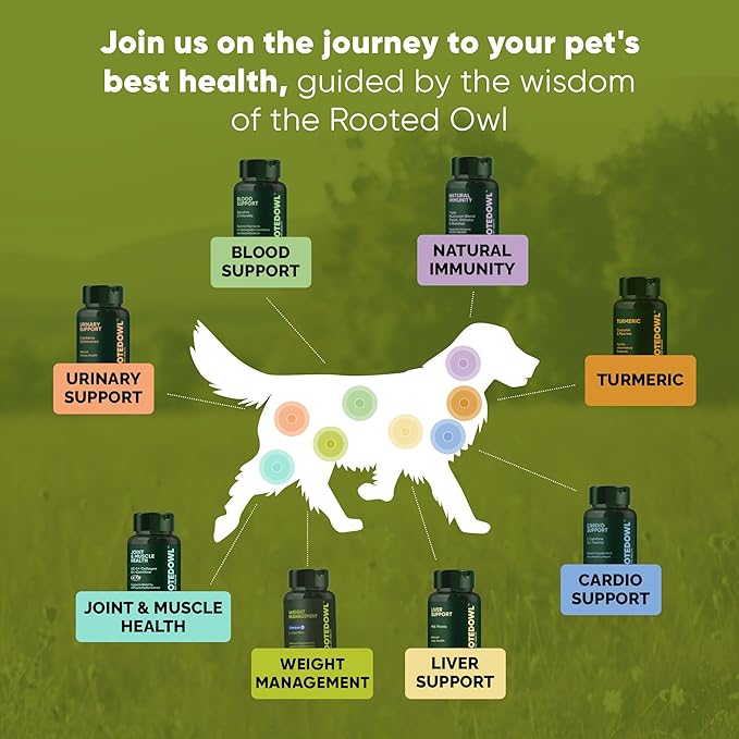 Rooted Owl Metabolism Support - L-Carnitine Supplement for Dogs and Cats to Support Healthy Weight - Dog and Cat Supplement - 60/ct