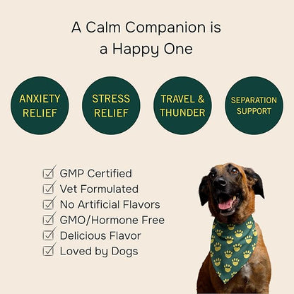 PetMeds Calm Supplement for Dogs - Anxiety & Stress Relief with Vitamins, Theanine & Lemon Balm - Supports Dogs During Travel, Thunder & Separation - Beef & Sweet Potato Flavor - 60 Soft Chews
