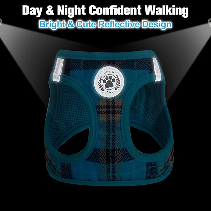 BEAUTYZOO Small Dog Harness and Leash Set,Step in No Chock No Pull Soft Mesh Dog Harnesses Reflective for Extra-Small/Small Medium Puppy Dogs and Cats, Plaid Dog Vest Harness for XS S Pets, Blue L