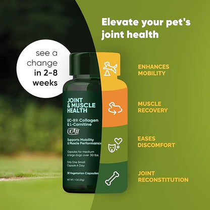 Rooted Owl Joint and Muscle Support for Large Dogs (Over 30 Lbs) - Supplement with UC-II Type II Collagen and L-Carnitine - 30 Count