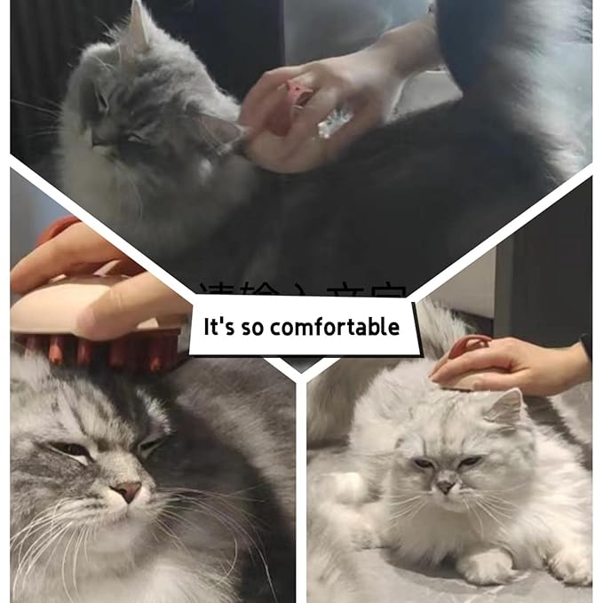 Dual Brush Head Multi-Function Cat brushï¼_ombing, Bathing, massaging, 1 brush for 3 purposesï¼_ats, dogs and other animals Be common