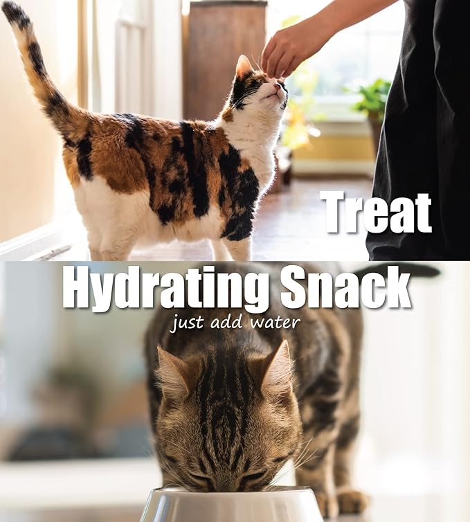 Whole Life Pet Just One Salmon Dog and Cat Value Packs - Human Grade, Freeze Dried, One Ingredient - Protein Rich, Grain Free, Made in The USA