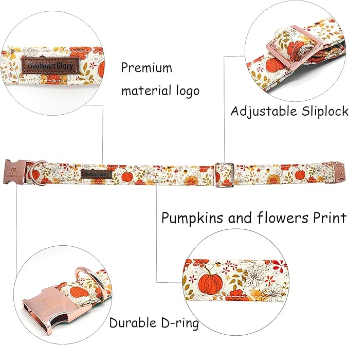 Lionheart glory Dog Collar Halloween Collar Dog Fall Dog Collars, Adjustable Heavy Duty Dog Collar for X-Small Dogs Pumpkin Collar Dog