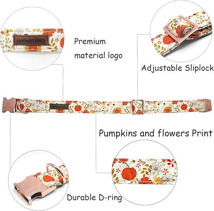 Lionheart glory Dog Collar Halloween Collar Dog Fall Dog Collars, Adjustable Heavy Duty Dog Collar for Small Dogs Pumpkin Collar Dog