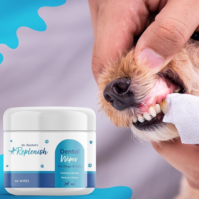 Replenish Dental Wipes for Dogs and Cats - Dog Teeth Cleaning Wipes - Pet Dental Finger Wipes for Dogs – Easy to Use Gentle Pet Dental Wipes - Effective Dog Teeth Cleaner - 50 Count